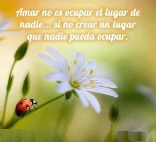 Que es amar Que es amar