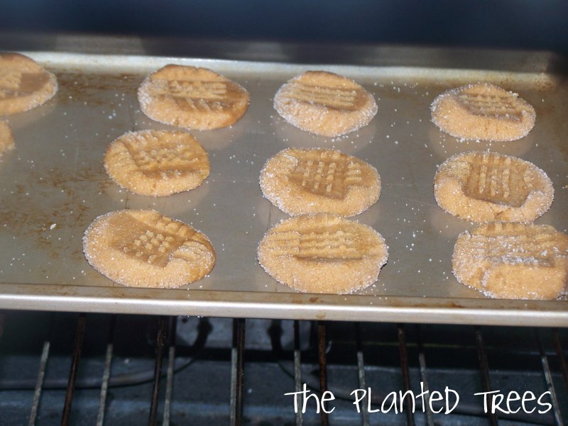 The Planted Trees Tasty Tuesday The Easiest Cookie Recipe EVER!