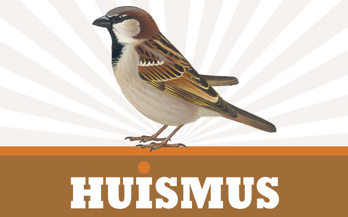 huismus