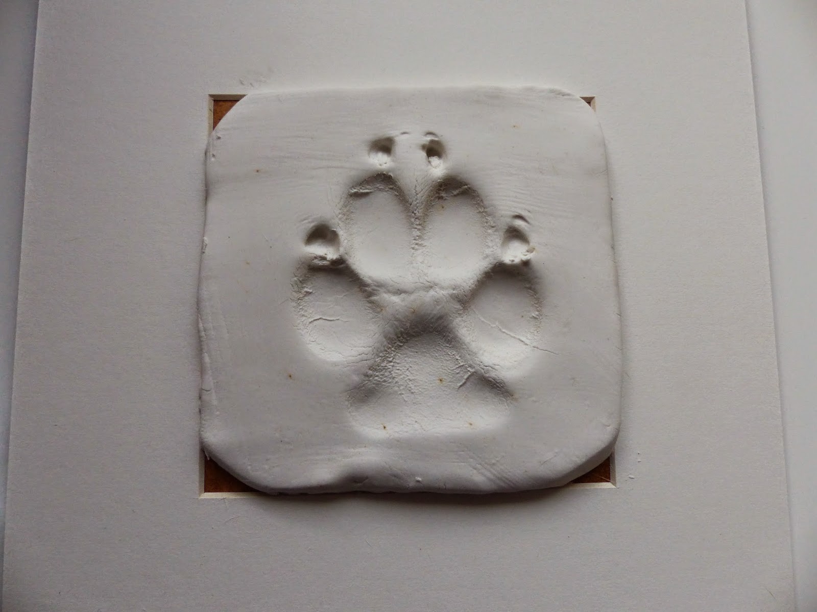 Ein Pointer an meiner Seite Pfotenabdruck vom Hundi DIY