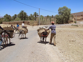 Onderweg werd ik door enkele Berbers, die hun landje aan het bewerken waren, uitgenodigd om thee te komen drinken. 