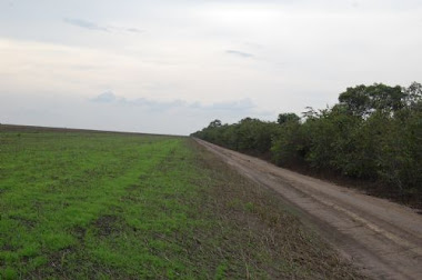 Fazenda no Piauí