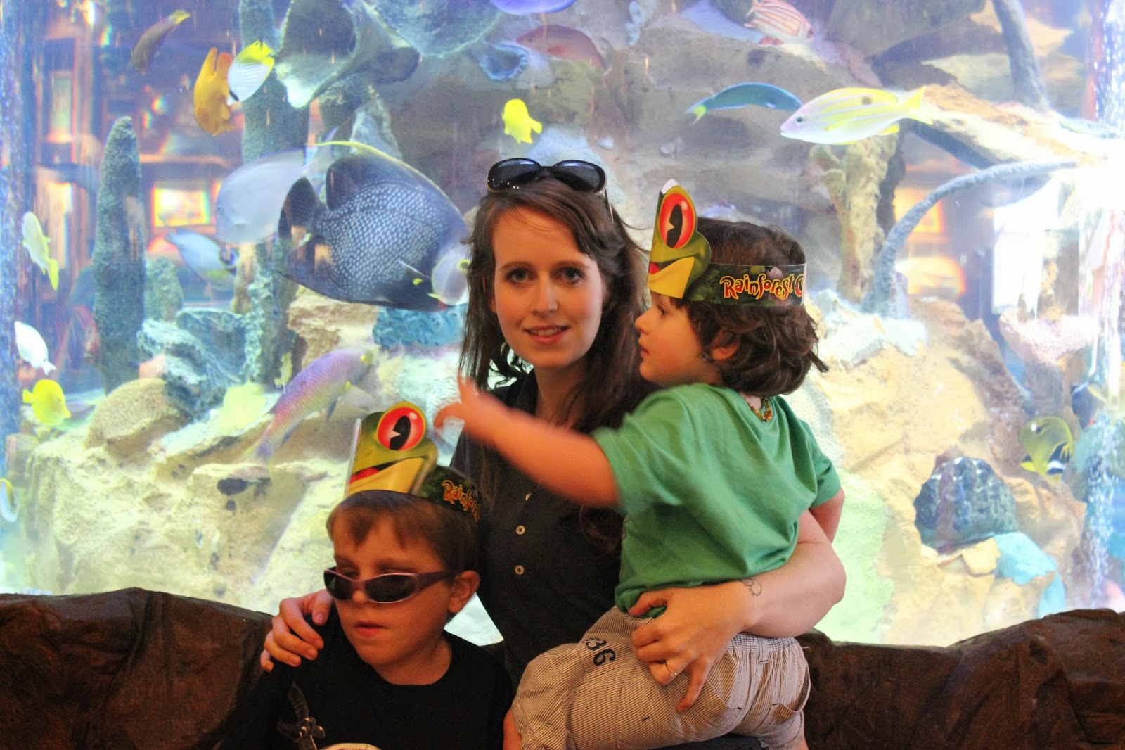 Natural Vegan Eco Mom Vegan In Orlando Downtown Disney Rainforest