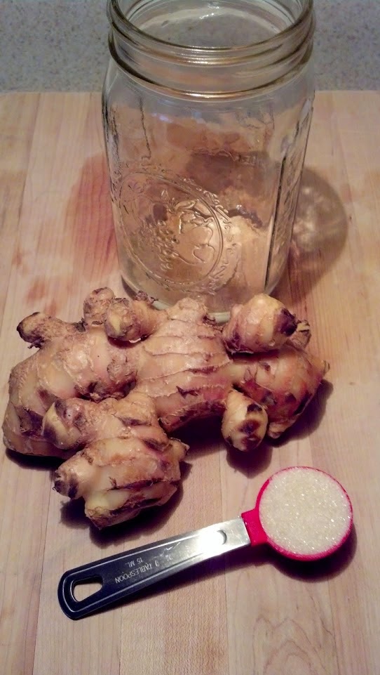 Back to the Basics! DIY Ginger Bug