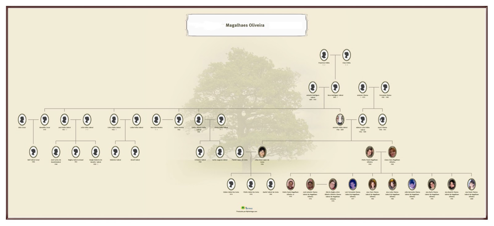 negócios de família Árvore genealógica