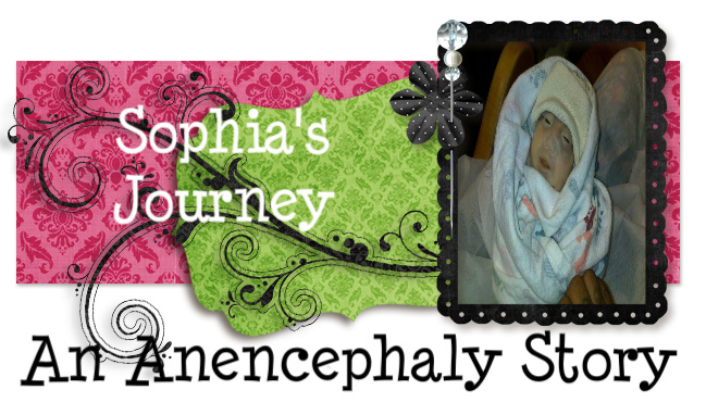 Sophia's Journey