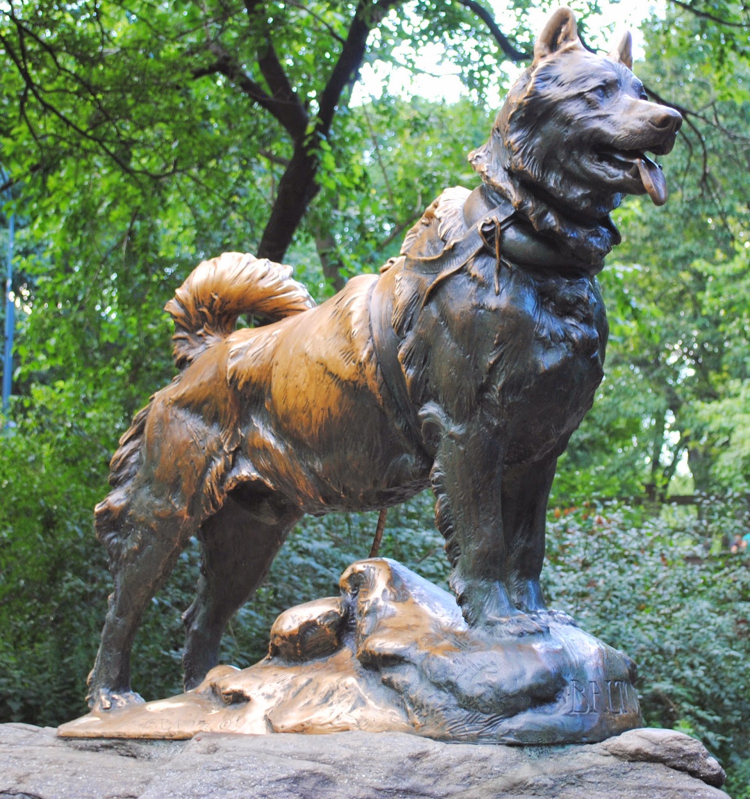 The Carpetbagger A Carpetbagger in New York