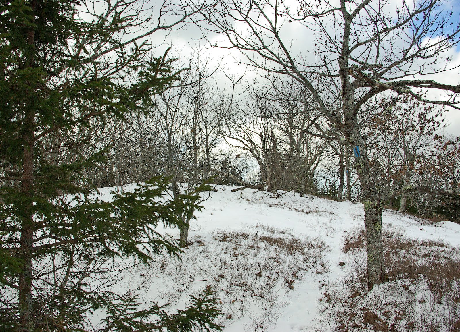 Hiking in Maine with Kelley 2/4/12 Frye Mountain