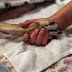 Σκυλιά, με ένα πρωτοποριακό πρόγραμμα, "φροντίζουν" άτομα με ειδικές ανάγκες στη Θεσσαλονίκη...