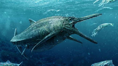 Fantastic Sea Ekosistem Laut Dalam Dan Laut Dangkal Di Indonesia