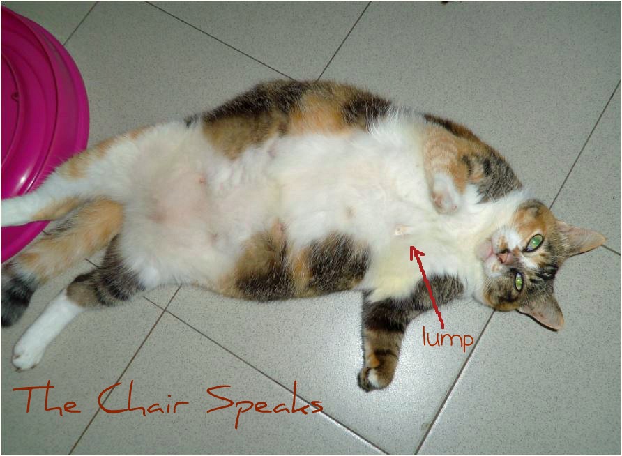 The Chair Speaks A Lump Discovered