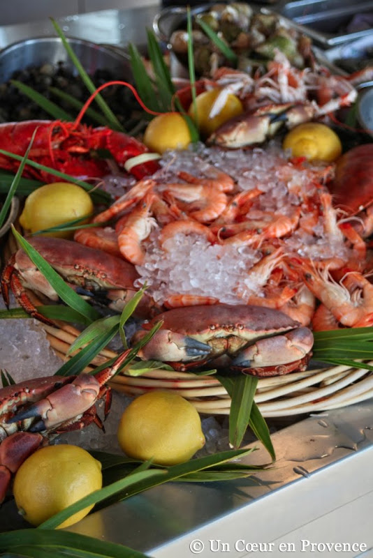 A Heart in Provence The Bassin d'Arcachon