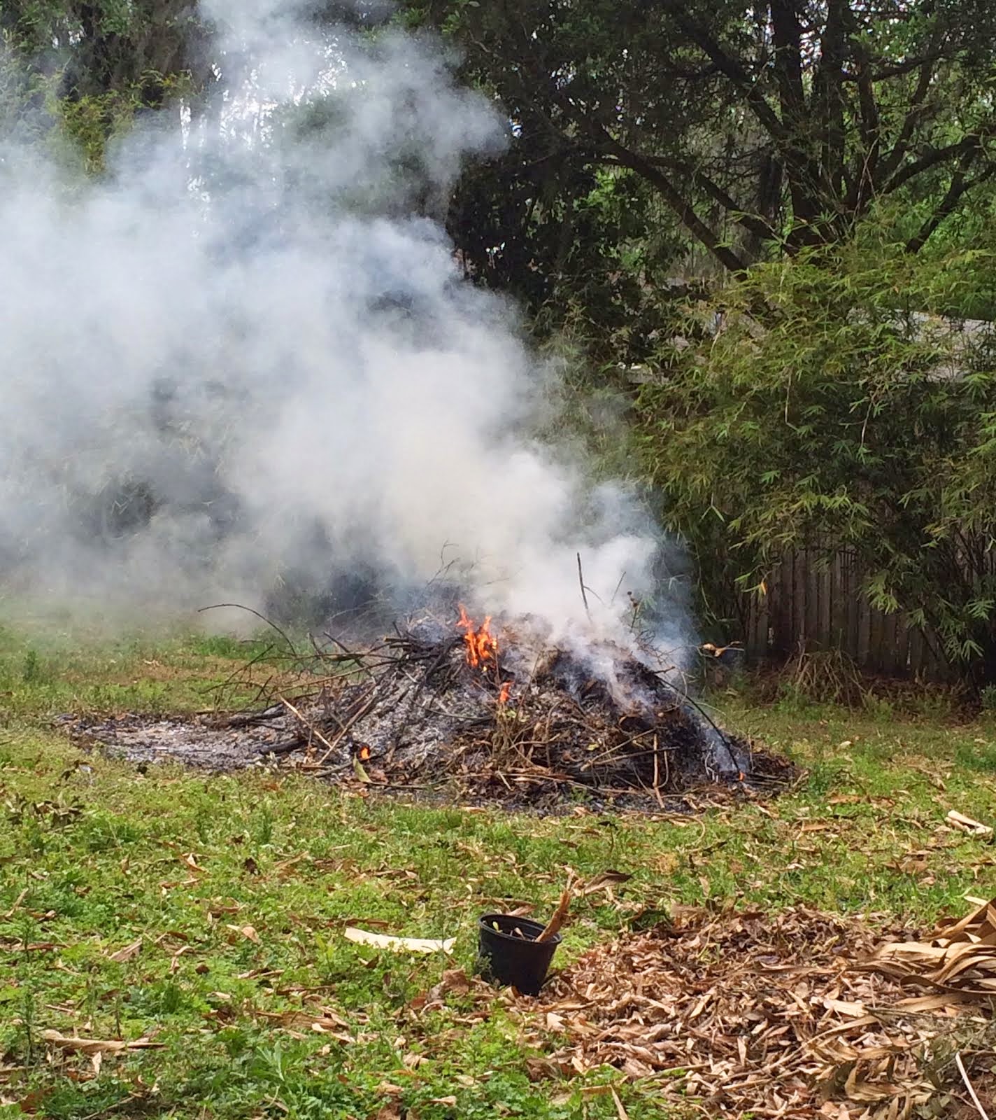 Perfectly Amusing Burning Yard Waste Workday