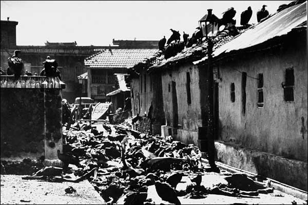 partition of india