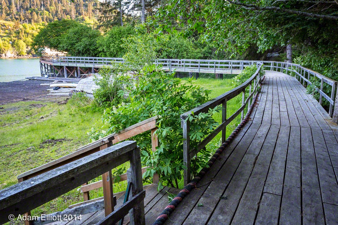 Atom's Picture Blog Halibut Cove, Alaska