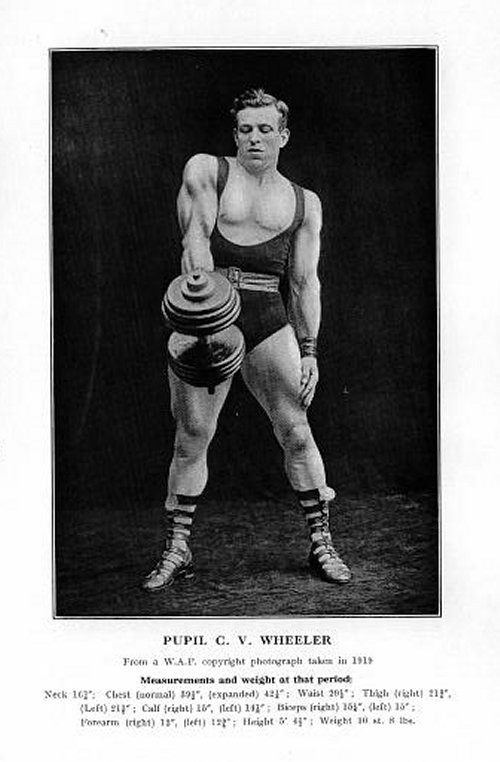 World Class Athletics The Dumbbell Complex