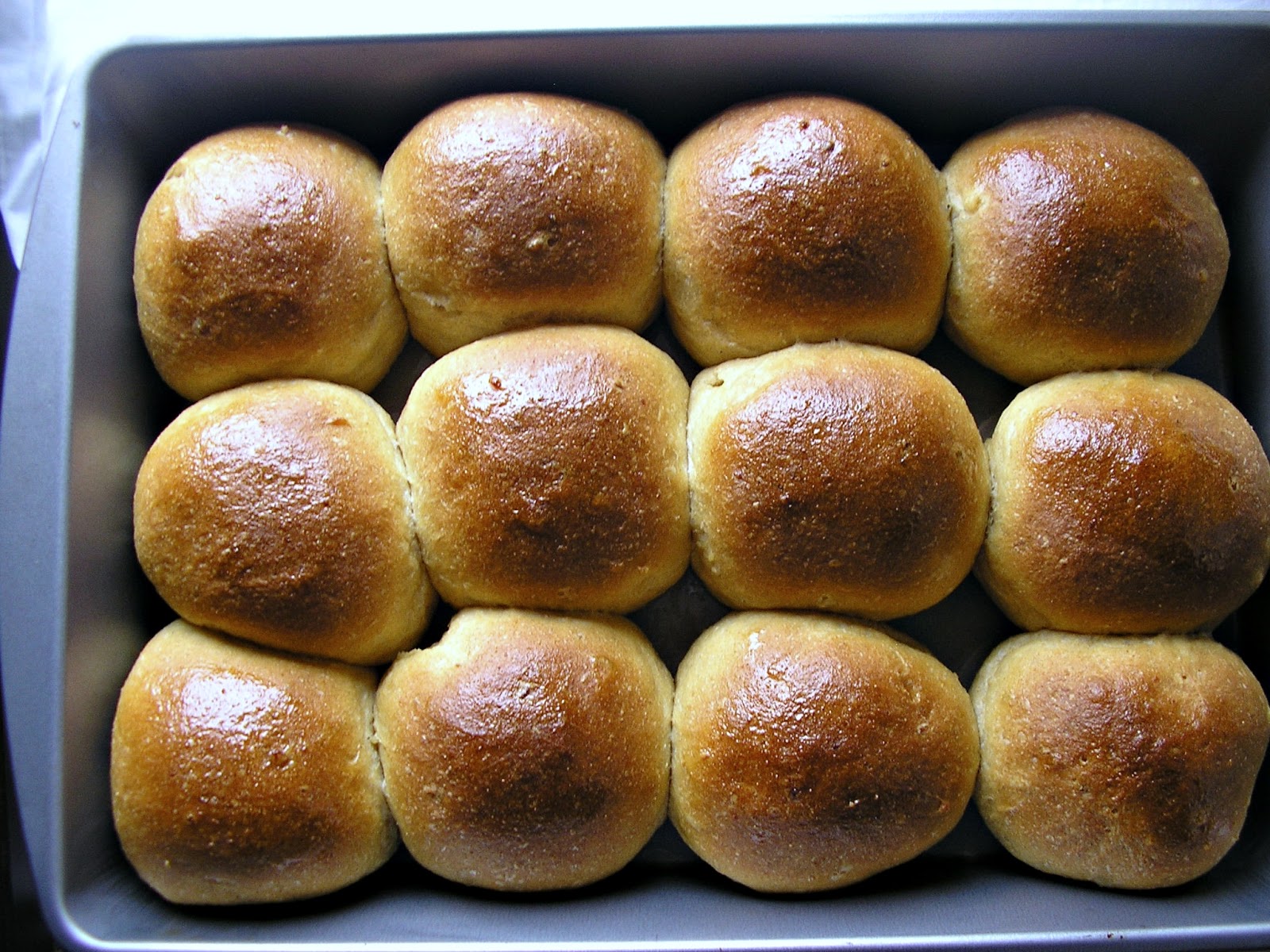 Passion Kneaded Potato Whole Wheat Dinner Rolls BreadBakers
