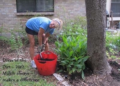 Divasofthedirt,bed needs more mulch