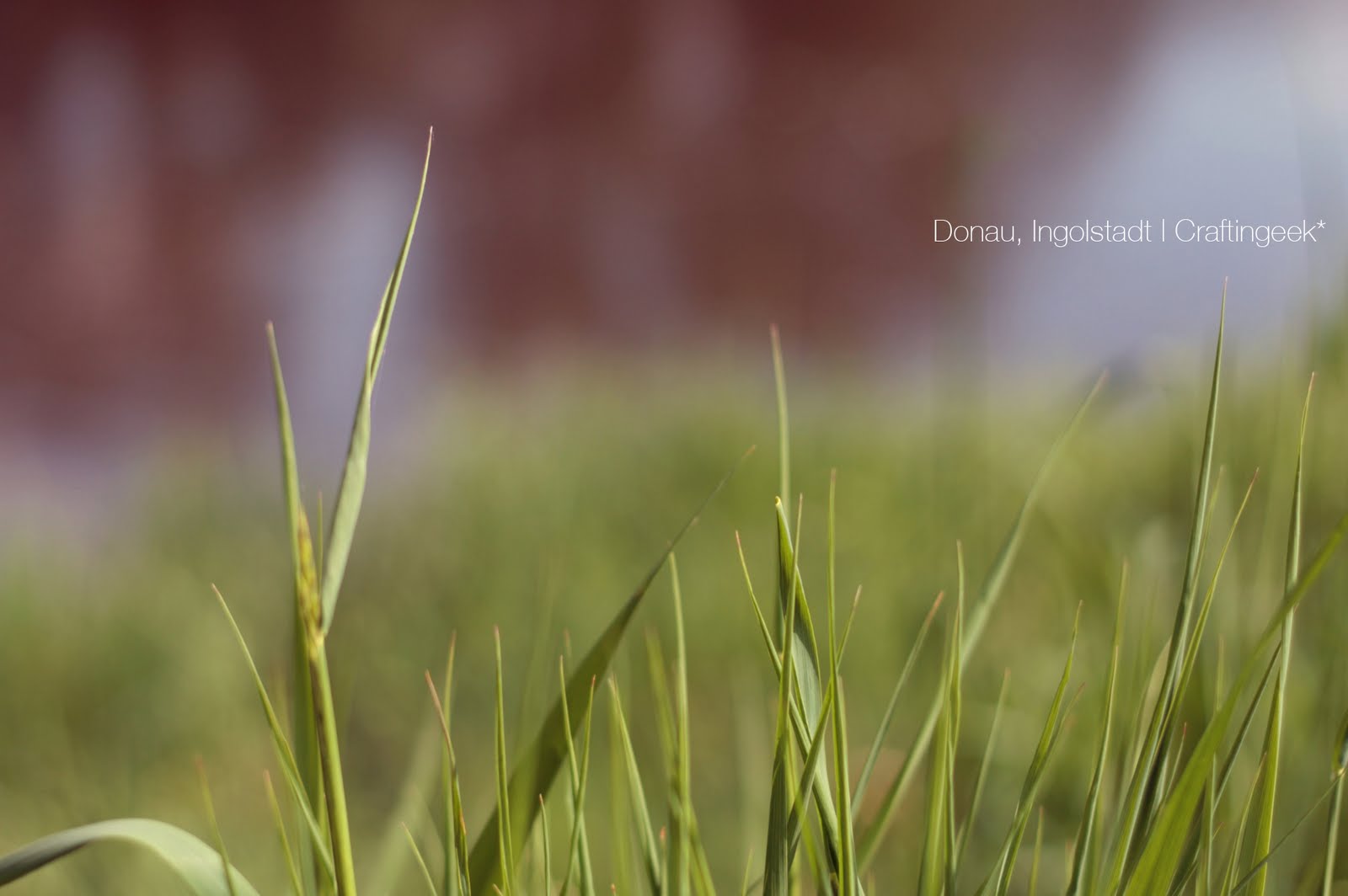 http://4.bp.blogspot.com/-11j1WYRmlMs/TfCaCUHkj7I/AAAAAAAAA5A/n5cdellV6Co/s1600/donau2_wallpaper.jpg