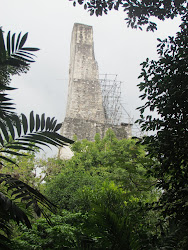 Temple 5, Tikal -- Classic example of verticality and summit temple "comb"