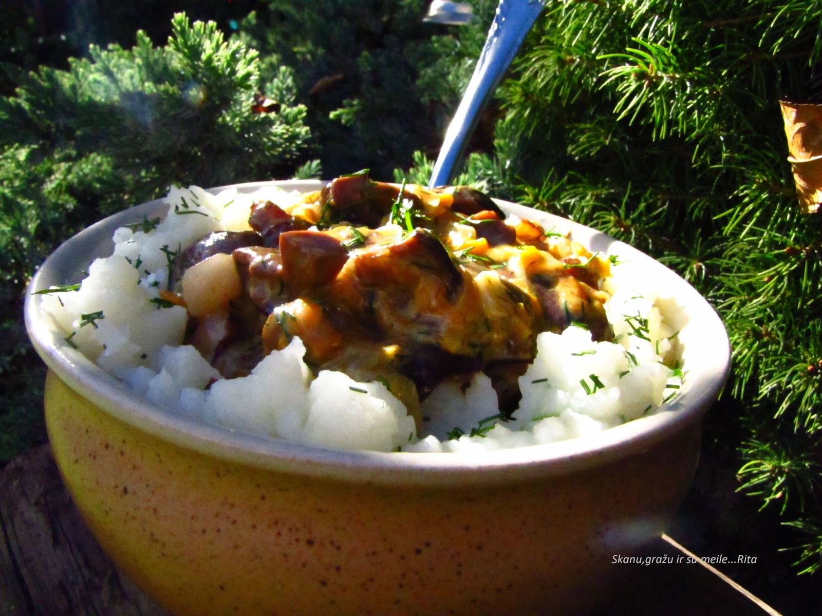 Ritos receptai Miško grybų troškinys