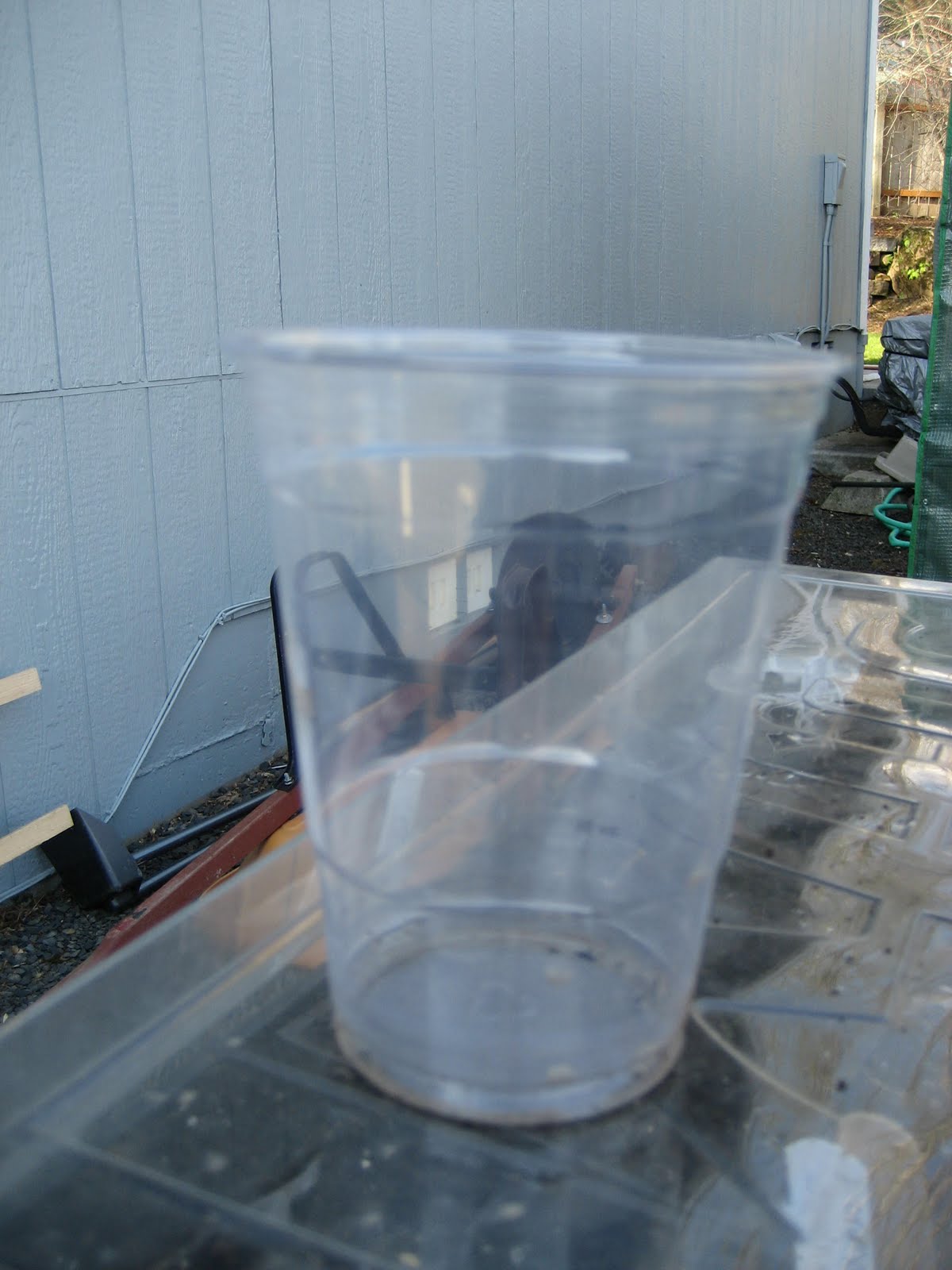 Lally Making Newspaper Pots