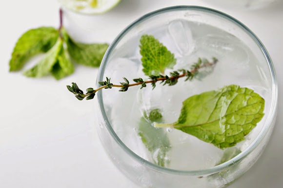 Spring Herb Mojito Spring Herb Mojito