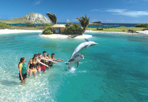 Hawaii Big Island Vacation Package Deals Hawaii Big Island Vacation Package Deals