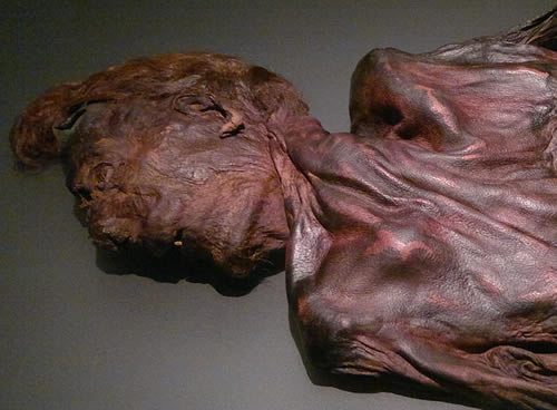 bog bodies When most of us think of bog bodies, we think of northwestern europe—ireland, say, or denmark but north america has its peat bogs, too, and some of them contain the remarkably well-preserved remains of ancient people one site in particular stands out as america's premier bog-body site: windover. bog bodies When most of us think of bog bodies, we think of northwestern europe—ireland, say, or denmark but north america has its peat bogs, too, and some of them contain the remarkably well-preserved remains of ancient people one site in particular stands out as america's premier bog-body site: windover.