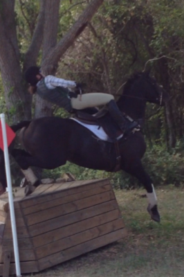 guest_blog_20_one_step_forward_two_steps_back