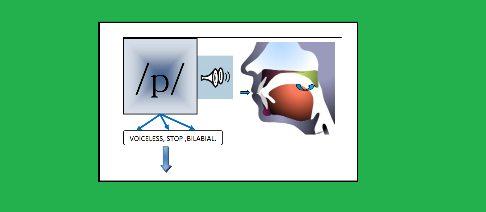 A GOOD ENGLISH PRONUNCIATION : CONSONANTS SOUNDS