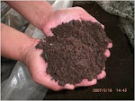 Organic compost from organic waste
