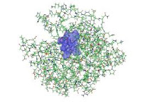 MOLECULAR DYNAMICS MOLECULAR DYNAMICS – STUDIES OF SYNTHETIC AND BIOLOGICAL MACROMOLECULES