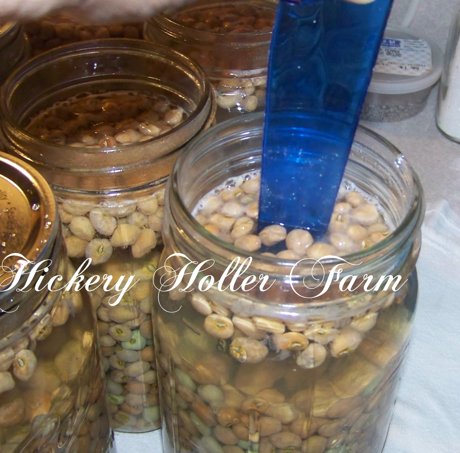 Hickery Holler Farm Canning Field Peas