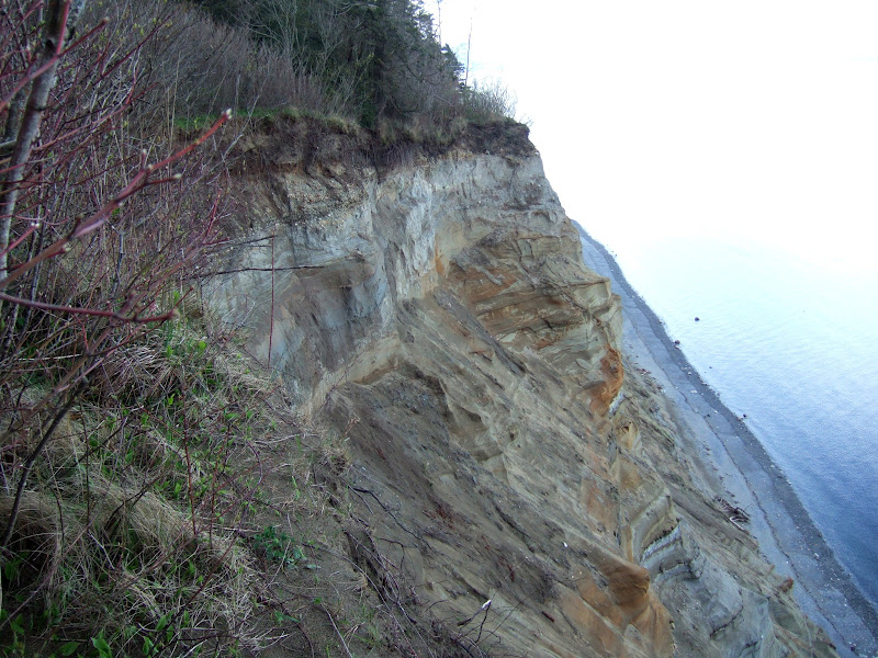 Lily Point
