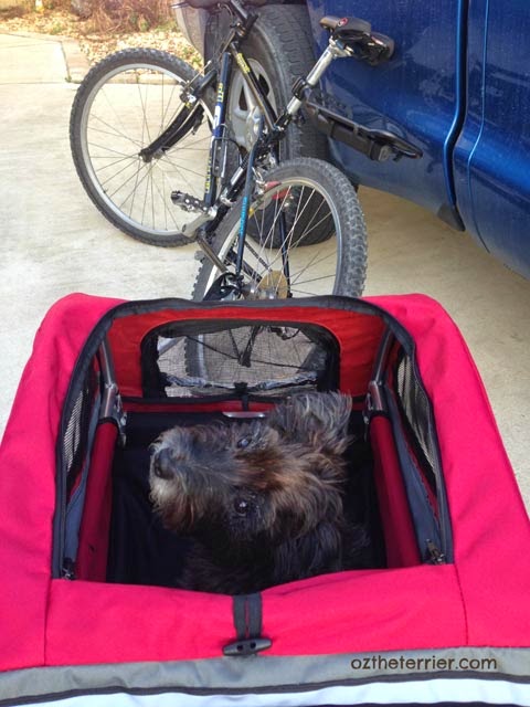 Oz the Terrier Top Posts of 2014 HoundAbout II Bike Trailer by Solvit Products