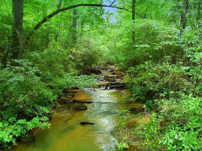 Panther Creek in the  Chattahoochee National Forest, Georgia