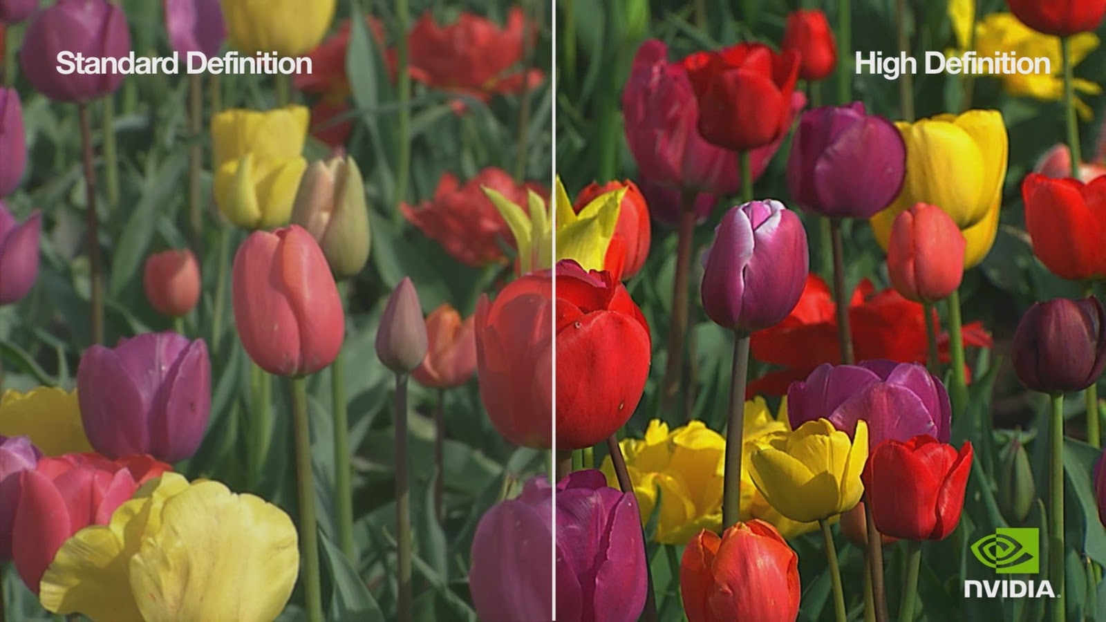 Media Studies AS Reseach Into Filming Equipment