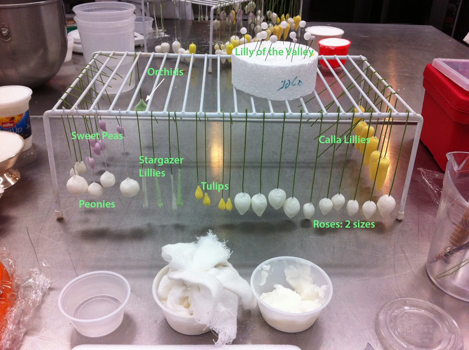 Abs of Cakes Sugar Paste Flowers