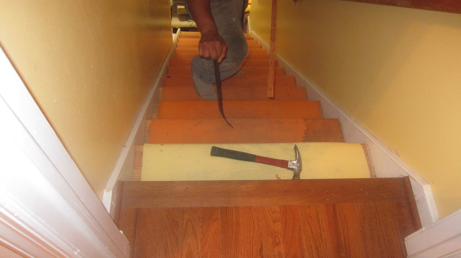 My Life - Mi Vida: El Sótano Y La Escalera