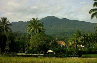 tampomas
