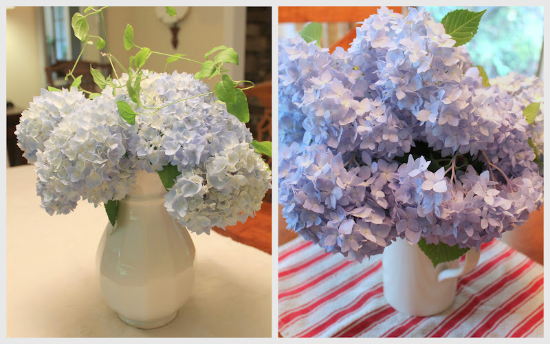Woven Home Hydrangeas How to Make Cut Blooms Last