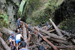 Discover Outdoors Oneonta Falls, Oregon