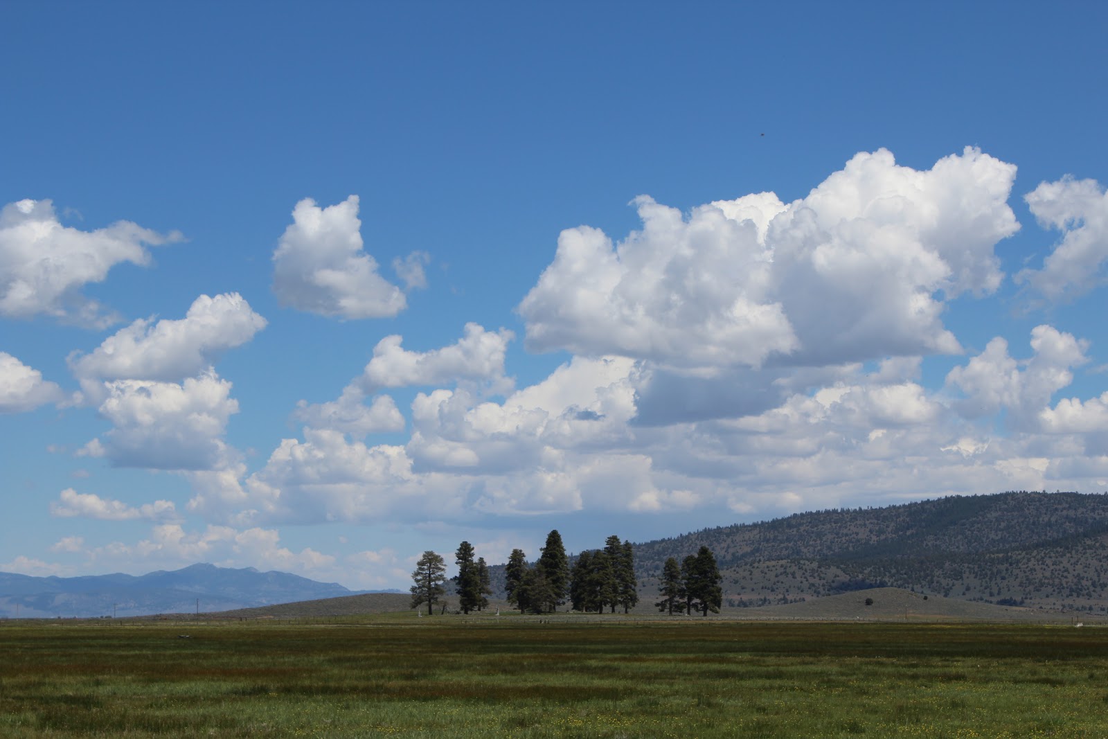My life in Photography Sierraville,ca and Lakes Basin.