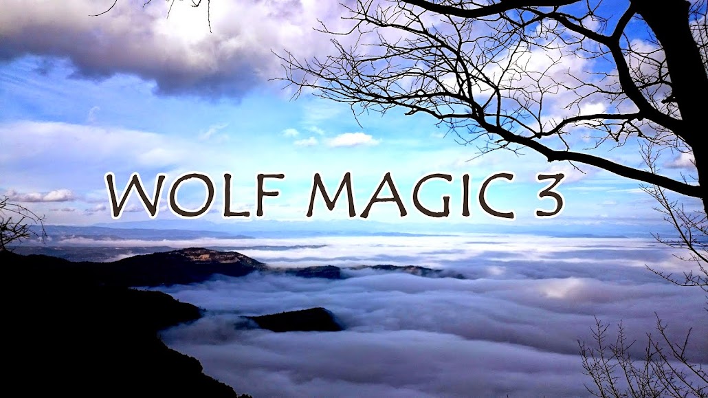 Wolf Magic 3