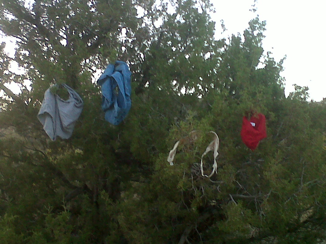 Desert Diving and Other Adventures Grapevine Canyon and The Underwear Tree