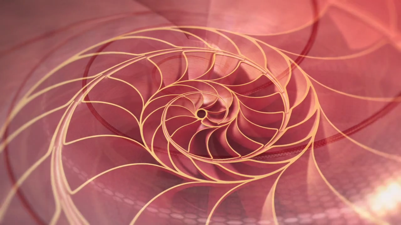 MEDIAN Don Steward mathematics teaching: fibonacci in nature