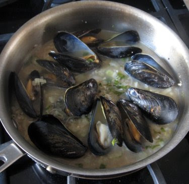 Mussels and Fennel in Ale