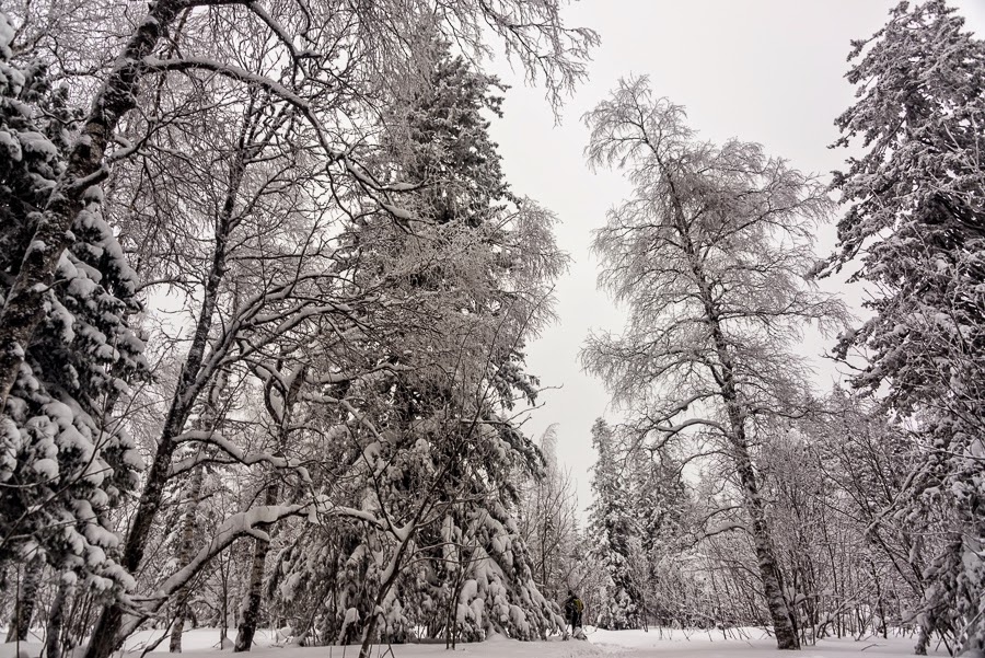 Легкая прогулка до Откликного