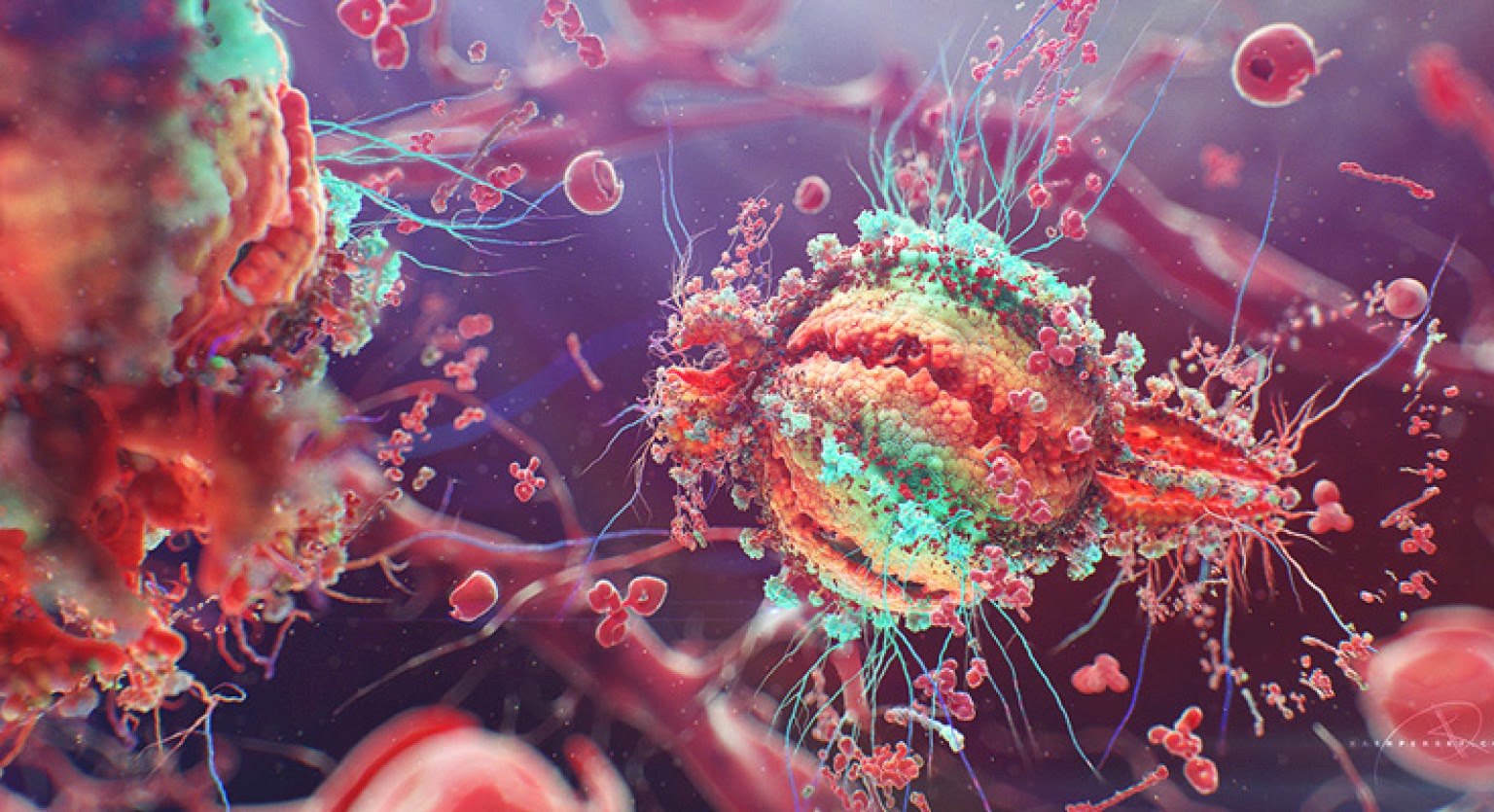 Byproducts From Bacteria Awaken Dormant T-Cells And HIV Viruses